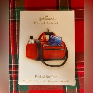 2009 Hallmark Packed for Fun Ornament
